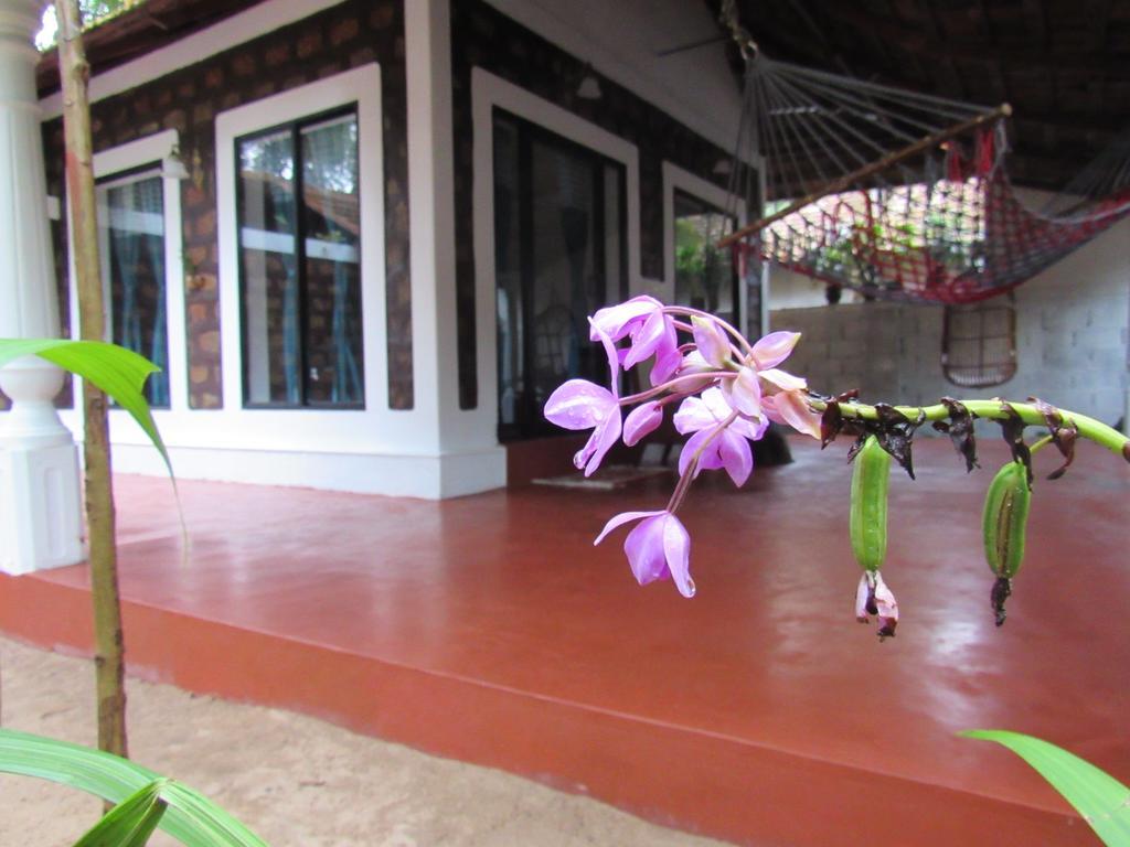 Villa Marari Dreamz à Alappuzha Extérieur photo